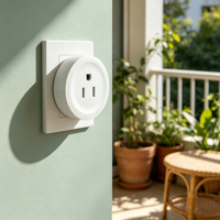 Stop Kontak Pintar WiFi AS 10A Tuya App Remote Timer Jadwal Hitung Mundur Suara Alexa Google Berbagi Perangkat Kantor Fire