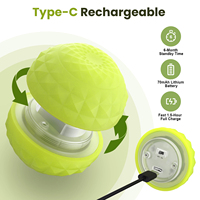 TIZE Nouveauté - Jouet interactif pour animaux de compagnie en silicone de qualité alimentaire rechargeable, lumineux dans le noir, étanche IPx7, balle pour chien avec lumière LED RGB