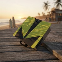 TOURUS Nouveau produit Planche de surf électrique avec batterie