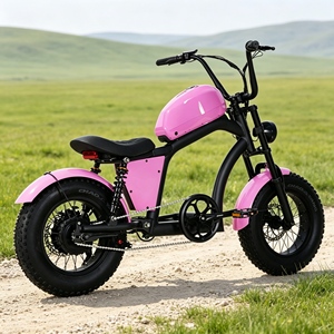 Vélo à pneus larges de haute qualité au design tendance, idéal pour les activités cyclistes en extérieur au bord du lac, modèle ABC-100, batterie au lithium longue durée - Product Image 1