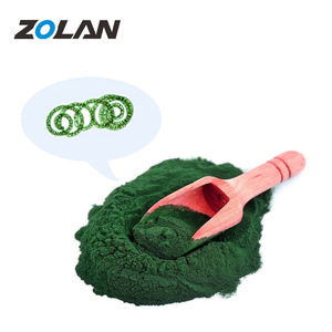 Poudre de spiruline de qualité alimentaire <span class=keywords><strong>GreenFood</strong></span> naturelle pure en vrac à vendre - Product Image 2