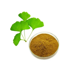 Best Quality Factory Supply Bulk Organic <strong>Ginkgo</strong> Biloba <strong>Extract</strong> on Sale - Product Image 4