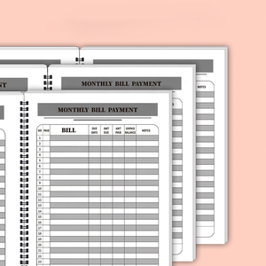 Quaderno per il monitoraggio delle spese a fogli mobili di alta qualità, con spirale, per il monitoraggio mensile delle pagamenti e la gestione del budget personale e delle finanze domestiche - Product Image 5