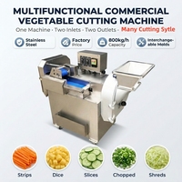Industriële keuken kleine fruit automatische keukenhakker snijmachine elektrische commerciële groentesnijmachine voor pompoen India