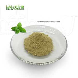 ペパーミント粉末ミントエキス天然ペパーミント濃縮粉末ペパーミント粉末 - Product Image 4