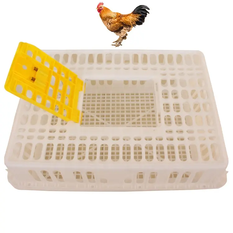 En Plastique de volaille de poulets de canard vivre cage de transport boîte de caisse de poulet à vendre