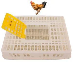 家禽塑料肉仔鸡鸭现场运输笼箱鸡箱出售