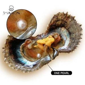 2021 nuovo colore all'ingrosso 7-8mm sottovuoto perla rotonda di colore naturale in ostriche coltivate per gioielli con ciondoli - Product Image 2