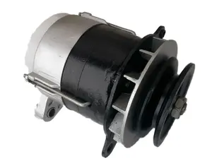 <span class=keywords><strong>Mtz</strong></span> Belarus máy kéo phụ tùng 464.3701 14V 700W Máy kéo Máy phát điện phát điện để bán - Product Image 1