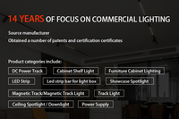 Meilleure Vente : Boîtier de Distribution LED à 2 Broches Rotatives pour Rails d'Éclairage et Accessoires de Rayonnages – Adaptateur Connecteur