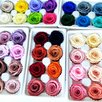 Têtes de roses éternelles préservées 4-5cm, 8 roses préservées de qualité supérieure, matériel floral en gros pour DIY, remise de diplôme, Noël, Fête des Mères, Nouvel An