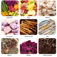Máquina Industrial de Liofilización de Frutas y Verduras, Fresas, Arándanos, Mango, Carne, Snacks para Mascotas, Café, Pescado, Carne, Trozos de Fruta