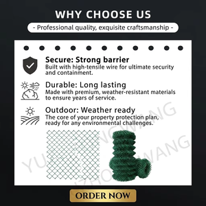 <b>Plastic</b>-coated Chain Link <b>Mesh</b> for Sports Courts, Farm Livestock Isolation Net, Road <b>Plastic</b>-coated Fence Net - Product Image 4
