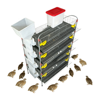 Cage d'élevage automatique de type H pour cailles avec mangeoire pour l'élevage commercial de volailles pondeuses