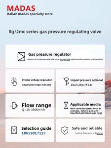วาล์วลดความดันก๊าซปิโตรเลียมเหลวและก๊าซปิโตรเลียมเหลวขายตรง RG2MC อุตสาหกรรมขนาดท่าเรือ DN15 - Product Image 5
