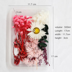 <span class=keywords><strong>AX</strong></span>-035 Venta al Por Mayor Mini Flores Secas Mixtas Multicolor Eucalipto Natural a Granel Materiales Deshidratados Paquete Pequeño para Decoración - Product Image 6