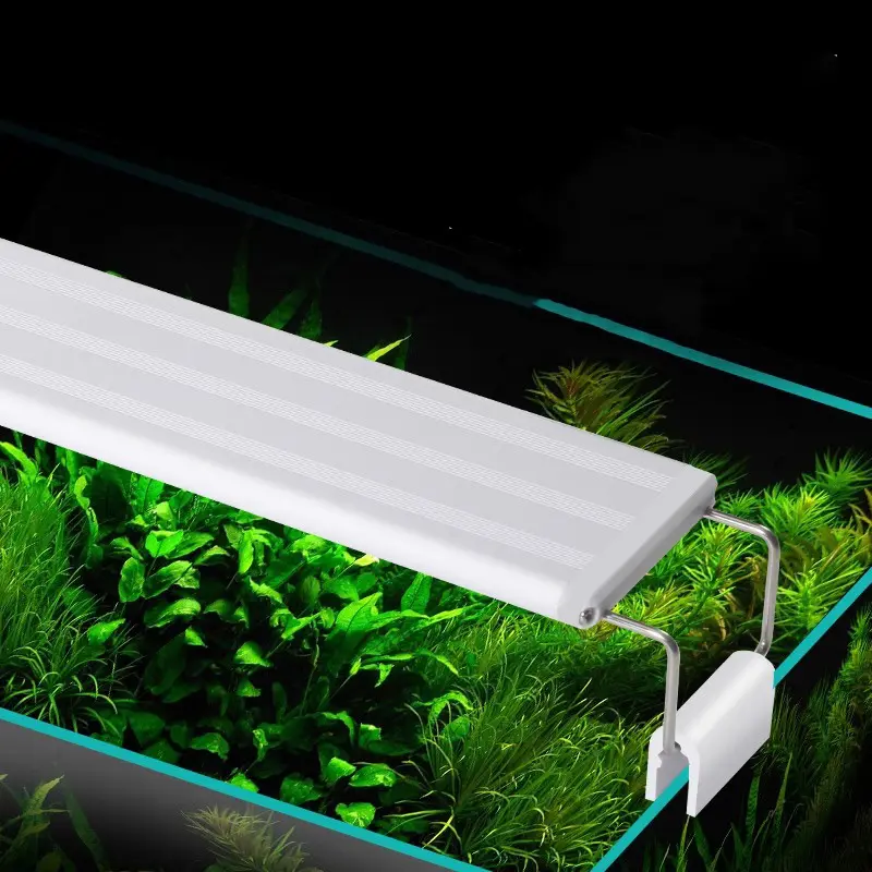 LED iluminação especializada para aquário de poupança de energia criando cenário para aquário caixa rack luzes