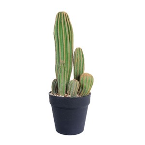 Décoration de sol en plastique en forme de cactus artificiel du désert Dream Castle, plante d'intérieur - Product Image 4