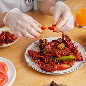 ถุงมือไวนิลเกรดอาหาร ปราศจากแป้ง สำหรับงานกันน้ำ ไม่มีส่วนผสมของซิลิโคน ขนาดกลางและใหญ่ ความยาว 24 ซม. แบบใช้แล้วทิ้ง - Product Image 5