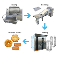 Machine automatique de fabrication de petits biscuits pour les petites entreprises Machine de fabrication de biscuits au gingembre
