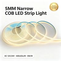 Bande LED en silicone intégral 5mm 400 LED/m, PCB double cuivre électroplaqué, 5V 12V 24V, plusieurs couleurs pour éclairage personnalisé large spectre