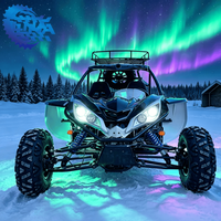 Buggy tout-terrain 4x4 LNA Shaft Drive 500cc avec blocage de différentiel arrière à louer