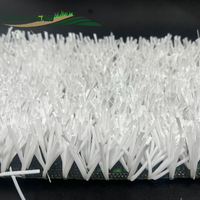 Tapis d'herbe de ski synthétique anti-dérapant pour le ski sec en plein air 20mm de hauteur de pile terrains d'entraînement en plastique ignifuge