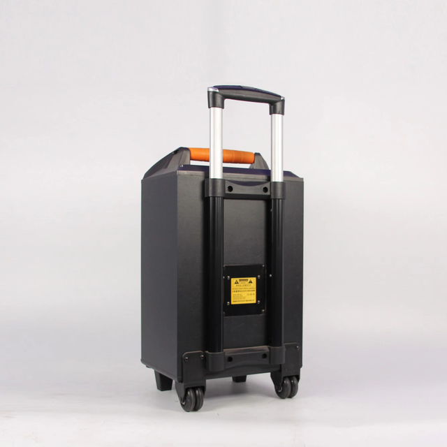 Wholesale Custom Portable Plastic Active Trolley Woofer Speaker Box with Microphone for Home Party