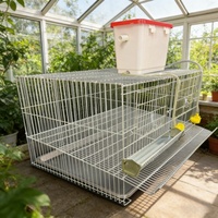 Cage à cailles empilable de haute qualité, cage à poussins, cage à cailles en batterie pour l'élevage des cailles