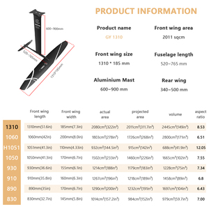 Kit hydrofoil abordable GY1310 : Aile avant en carbone, mât en aluminium, configuration stable pour l'apprentissage du wing foil et du kitesurf - Product Image 2