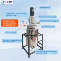 Réacteur à réservoir en acier inoxydable haute pression et haute température WHGCM 50L, pièces de contact S31603, pompe à moteur pour le traitement de la biomasse