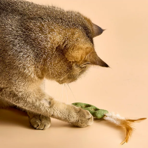 Cute <span class=keywords><strong>Catnip</strong></span> <span class=keywords><strong>Mice</strong></span> Cat Toys Enriquecimento interativo Cat <span class=keywords><strong>Catnip</strong></span> Ball com pena - Product Image 6