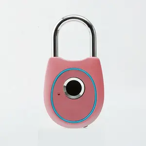 Valise de voyage portable Valise de sécurité sans clé Cadenas d'empreintes digitales intelligent rechargeable Usb avec couleur rose