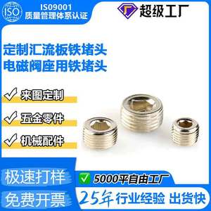 Nissin Hexagonal Plug Valve 18143812341 Inches For Hydraulic Systems CNC Machinery - Product Image 5