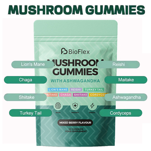 Solilan Bán Buôn OEM Nhãn Hiệu Riêng Vegan Hữu Cơ Sư Tử Mane Ashwagandha Linh Chi Chaga Nấm Gummies Bổ Sung Trong Pouch - Product Image 2