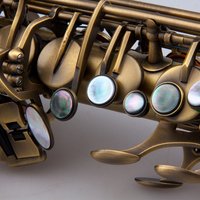 Taishan Brand Professional Alto Saxophone High Quality with Good Price Instrument for Music Lovers