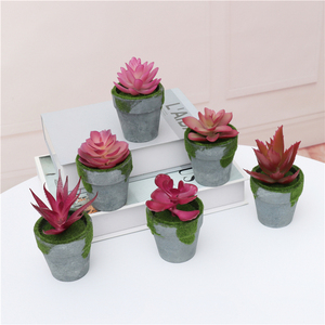 Искусственные мини-суккуленты Greatflower в горшках из целлюлозы различных цветов для декора дома, офиса и рабочего стола - Product Image 5