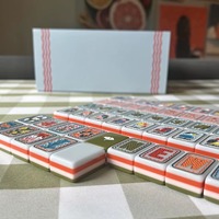 Ubin Mahjong Klasik Retro Amerika 4 Lapis Akrilik Motif Burung dan Bunga 160PCS Set Permainan Mahjong Kustom