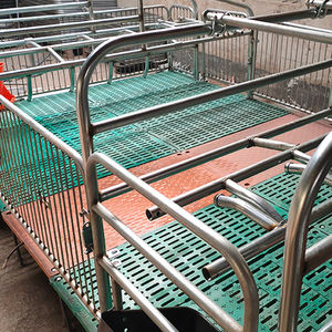 Équipement d'élevage porcin : <span class=keywords><strong>Lit</strong></span> de mise bas <span class=keywords><strong>pour</strong></span> truies, <span class=keywords><strong>Lit</strong></span> de mise bas double européen, Incubateur <span class=keywords><strong>pour</strong></span> porcelets, Caisses de mise bas <span class=keywords><strong>pour</strong></span> porcherie - Product Image 5