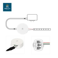 Contrôleur WiFi RGB adressable, application intelligente, contrôle programmable, 12-48V, WS2811 16703 IC, bande LED pixel, module flexible néon, lumière, 50m