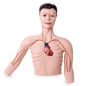 Simulator Intervensi PICC - Product Image 1