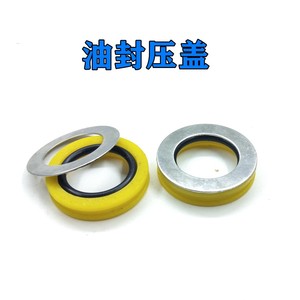 Pulvérisateur électrique à double cylindre Longmai LM, réservoir de 20 litres, kit de réparation des pièces détériorées, joint d'étanchéité de la pompe à piston pour l'agriculture - Product Image 3