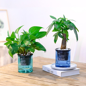 BRICE Cheap For Sale Indoor Office Round Hydroponic Transparent Clear Succulents Planter Self Watering Plastic Flower Pots