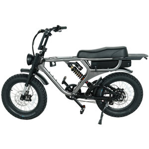 Vélo de montagne électrique à moteur 48V 1000W EN 15194, vélo à pneus larges, cadre en aluminium 20*4.0 pouces, suspension intégrale - Product Image 2