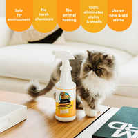 Détachant et anti-odeurs pour animaux de compagnie OEM Détachant instantané pour tapis Urine Désodorisant éliminateur d'odeurs de caca Spray