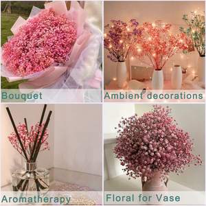 120g 400g bébé souffle fleur fleurs séchées pour la décoration gypsophile <span class=keywords><strong>toujours</strong></span> vivant fleur bébé souffle séché gypsophile coloré - Product Image 6