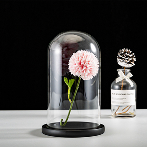 Rosas Eternas Galaxia Preservadas al por Mayor <span class=keywords><strong>con</strong></span> Base <span class=keywords><strong>de</strong></span> Madera, Mini Cúpula <span class=keywords><strong>de</strong></span> <span class=keywords><strong>Cristal</strong></span> <span class=keywords><strong>con</strong></span> Luz y Tapón <span class=keywords><strong>de</strong></span> Corcho - Product Image 6