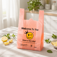 Sac en plastique à poignées type T-shirt pour courses et remerciements – Offre Spéciale