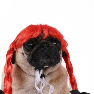 Perruque de costume de chien à double queue de cheval personnalisée pour l'été, ruban papillon, accessoires pour animaux de compagnie pour les fêtes, pour chats et chiens - Product Image 2