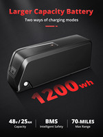 Vélo de montagne électrique 250W rapide avec batterie 48V, stock entrepôt UE/Royaume-Uni 2026, livraison directe bienvenue